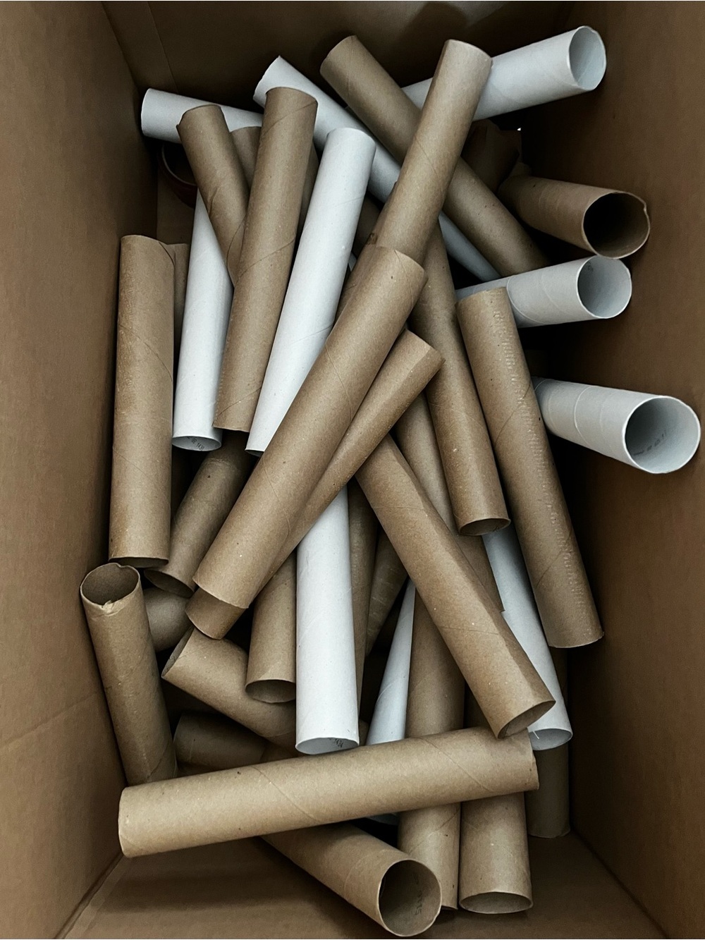 Multi-Pack Crafting Paper Towel Cardboard Tubes 50ct